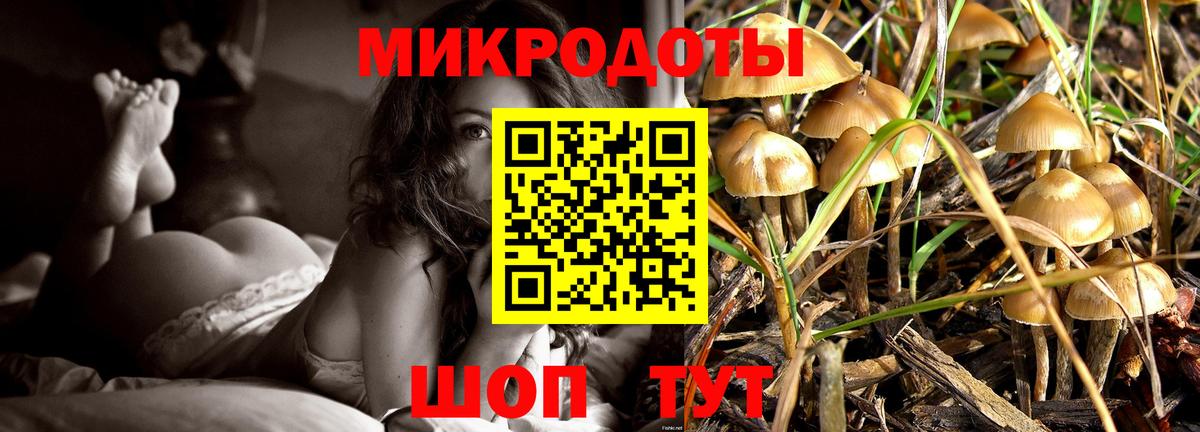 Галлюциногенные грибы GOLDEN TEACHER  Вход с VPN  Галлюциногенные грибы MAGIC MUSHROOMS  Бутурлиновка 